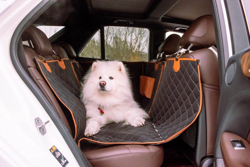 best rear seat cover for dogs