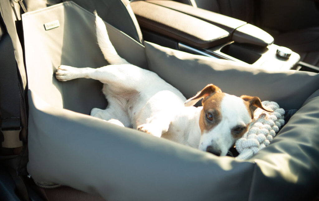 medium dog car seat